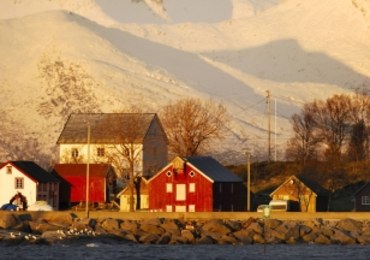 Ponad 100 dzieci wykorzystanych seksualnie. Żyły w sekcie w Norwegii