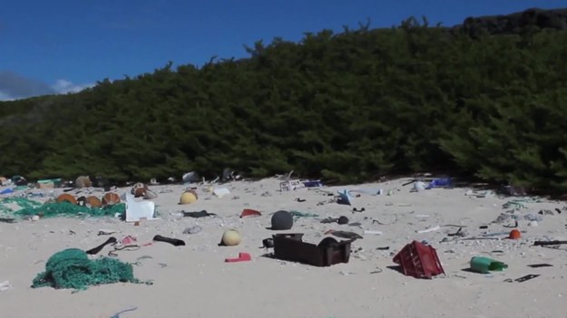 38 milionów plastikowych śmieci znajduje się na wyspie Henderson. To bezludna wyspa koralowa na Oceanie Spokojnym należąca do brytyjskiego terytorium zamorskiego Pitcairn. Naukowcy biją na alarm. Plastik szkodzi środowisku oraz żyjącym tam zwierzętom. Wyspa została wpisana na Listę Światowego Dziedzictwa Kulturowego i Przyrodniczego UNESCO i uznana przez BirdLife International za ostoję ptaków IBA, a tymczasem jest jednocześnie najbardziej zanieczyszczonym skrawkiem lądu na naszej planecie.