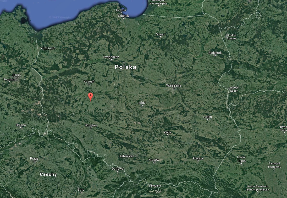 Groźny wypadek w wielkopolskim Gostyniu: podmiejski autobus zderzył się tam z ciężarówką. Rannych jest 11 osób, na szczęście ich obrażenia nie są poważne.