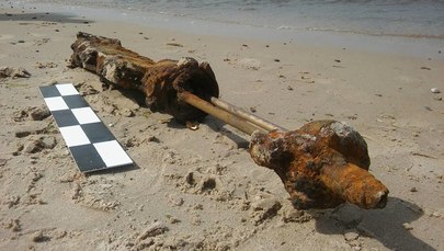 Spacerowicz znalazł na plaży karabin. Okaz ma aż 1,2 m długości 