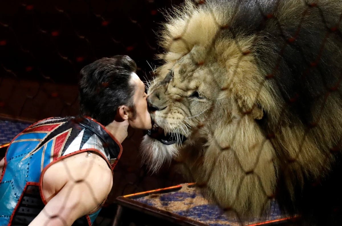 Po blisko 150 latach działalności słynny amerykański cyrk Ringling Bros. and Barnum & Bailey Circus dał ostatnie przedstawienie. Cyrk postanowił zakończyć działalność m.in. z powodu wysokich kosztów utrzymania i malejącej liczby widzów.