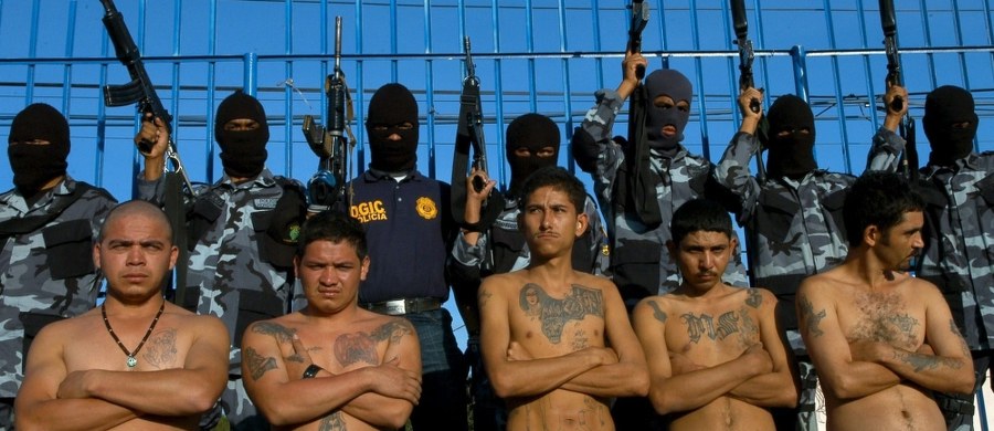 Administracja byłego prezydenta Baracka Obamy świadomie wpuściła do USA 16 członków gangu MS-13, którzy przyjechali jako nielegalni imigranci w 2014 roku - podał republikański senator Ron Johnson. Dodał, że umieszczono ich w domach dla nieletnich w USA. 