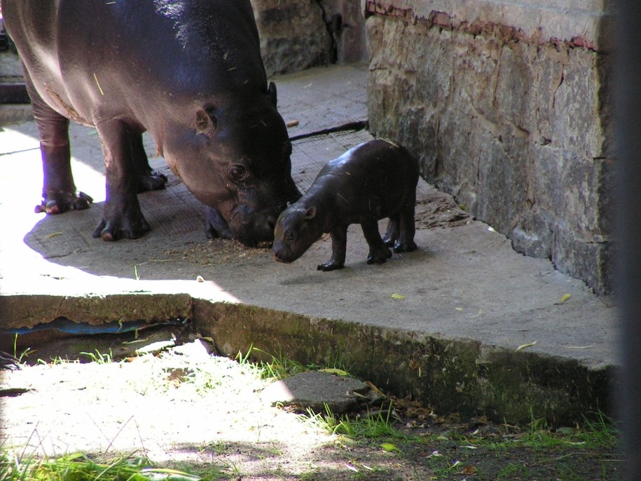 /Bartek Paulus /RMF FM