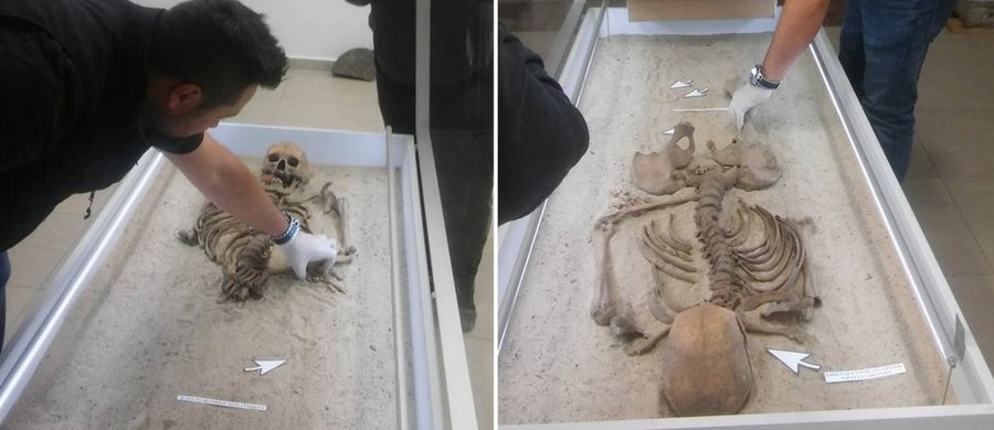 ​Słynny "wampir" z Kamienia Pomorskiego przejdzie badania DNA. Odnaleziony kilka lat temu szkielet mężczyzny, na którym zastosowano praktyki antywampiryczne - przebito mu kończyny, a w zęby wetknięto kawałek cegły - trafi w ręce medyków.