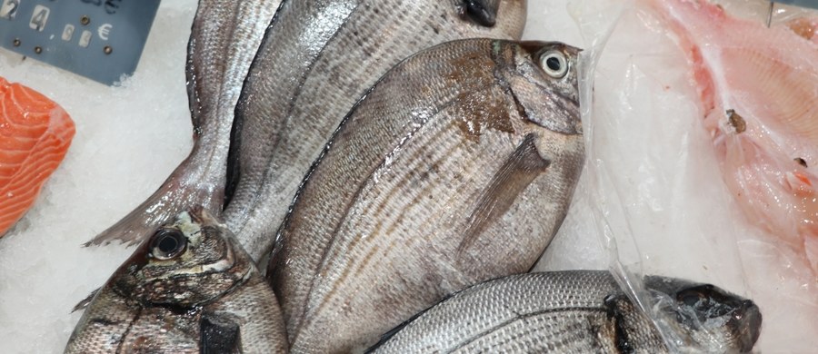 Szczecińscy agenci CBA na tropie nieświeżych ryb. Funkcjonariusze sprawdzają, czy do supermarketów w całym kraju trafiały produkty rybne niespełniające norm jakości. CBA podejrzewa, że mogło dochodzić do fałszowania dokumentacji. 