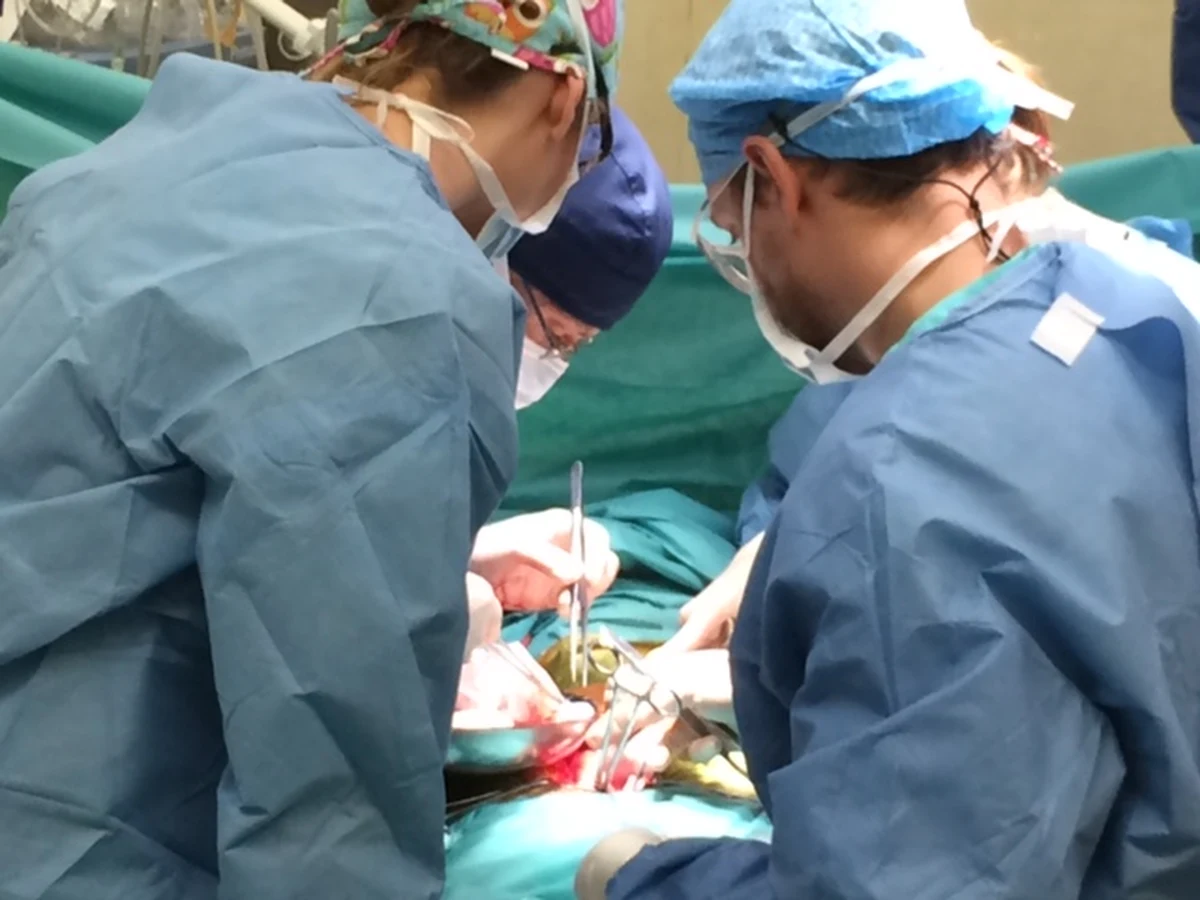 Ponad 25 tys. zdjęć, w tym nagich osób, oraz wiele danych osobowych ujawnili w sieci hakerzy, którzy włamali się na serwery sieci klinik chirurgii estetycznej na Litwie. Hakerzy szantażowali pacjentów, domagając się okupu.