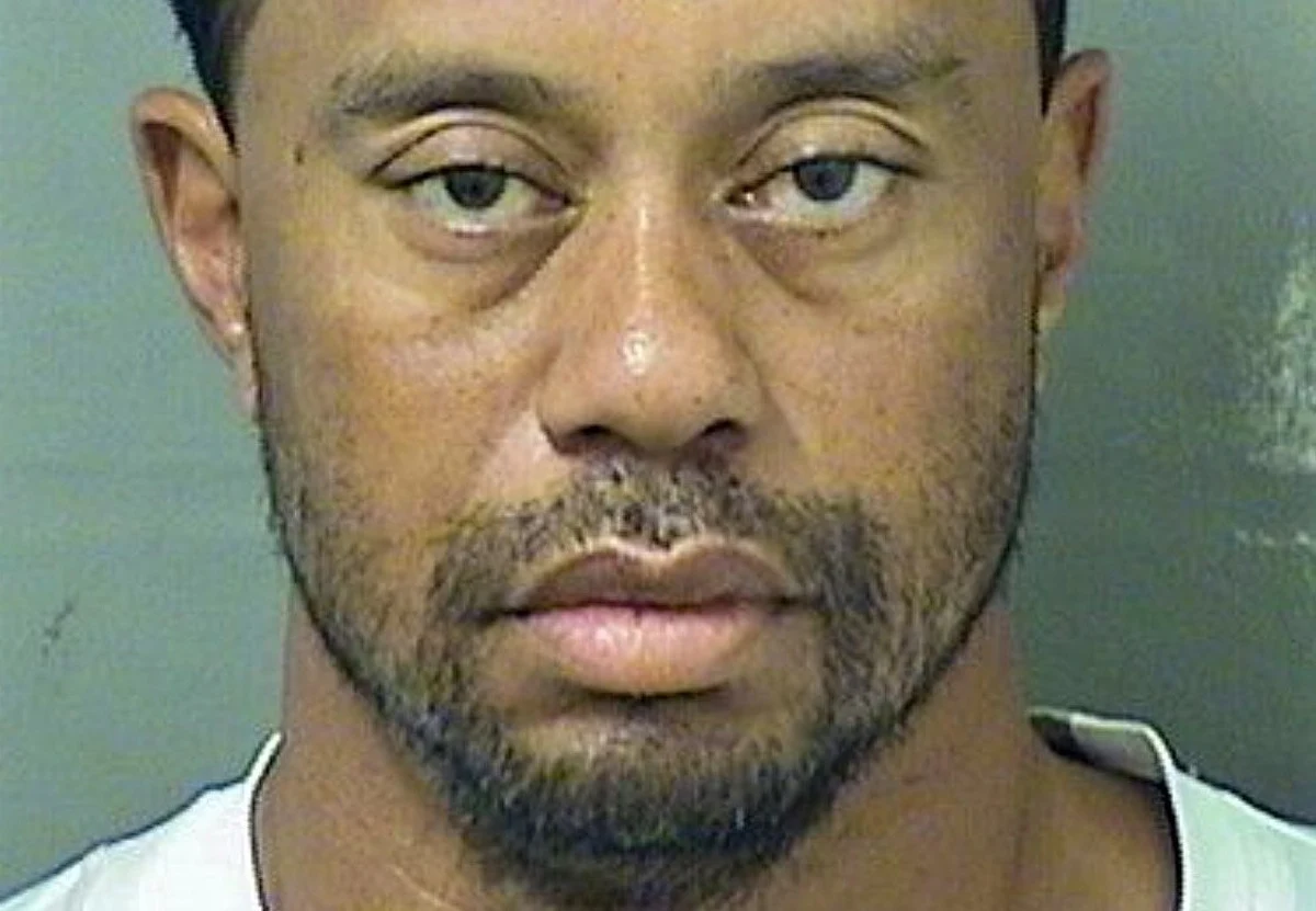 Słynny amerykański golfista Tiger Woods, który w nocy z niedzieli na poniedziałek został zatrzymany przez policję na Florydzie, a później spędził kilka godzin w areszcie, w momencie interwencji funkcjonariuszy spał za kierownicą swojego samochodu. Po obudzeniu miał problemy z mówieniem, przyznał, że nie wie, gdzie jest, i pytał, gdzie jest jego dom.