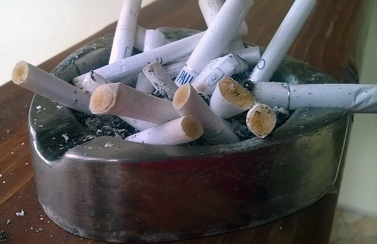 W Czechach obowiązuje zakaz palenia tytoniu w restauracjach, barach i gospodach. Parlament zatwierdził jego wprowadzenie po latach zagorzałych dyskusji. Obecnie jedynym państwem w UE, które nie wprowadziło zakazu palenia w lokalach, jest Słowacja.