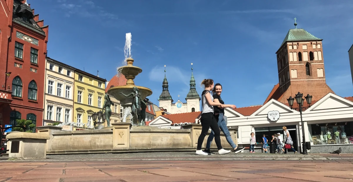 ​Chojnice były w sobotę Twoim Miastem w Faktach RMF FM. Miasto znane jest chociażby z przepięknego, zrewitalizowanego rynku. Od XIV wieku jego symbolem jest tur. Zobaczyć można go nie tylko w herbie Chojnic.