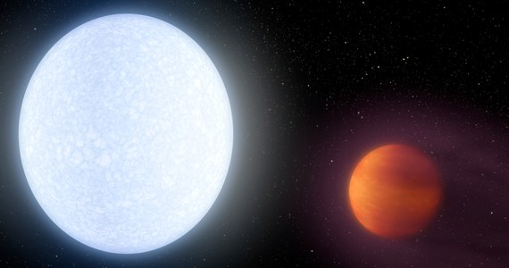 Astronomowie odkryli już poza Układem Słonecznym i opisali tysiące planet. Do tej pory nie znali jednak takiej, jak KELT-9b. Gazowy olbrzym krążący wokół gwiazdy, około 650 lat świetlnych od nas w gwiazdozbiorze Łabędzia, sam jest niezwykle gorący. Jak pisze w najnowszym numerze czasopismo "Nature" jego temperatura jest zaledwie o 1200 kelwinów niższa, niż temperatura Słońca. Wszystko przez niezwykle silne promieniowanie ultrafioletowe, którym macierzysta gwiazda swoją planetę bombarduje.