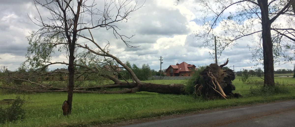 Około 4,7 tys. odbiorców bez prądu, najwięcej w województwie łódzkim - 3,6 tys. - poinformowało na Twitterze Rządowe Centrum Bezpieczeństwa w związku z burzami z gradem na terenie kraju. "Naprawy trwają" - dodano. Trudna sytuacja występuje w dwóch województwach - łódzkim i wielkopolskim. 