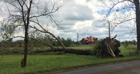 Około 4,7 tys. odbiorców bez prądu, najwięcej w województwie łódzkim - 3,6 tys. - poinformowało na Twitterze Rządowe Centrum Bezpieczeństwa w związku z burzami z gradem na terenie kraju. "Naprawy trwają" - dodano. Trudna sytuacja występuje w dwóch województwach - łódzkim i wielkopolskim. 