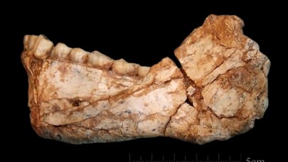 Homo sapiens starszy, niż sądzono. Historię ludzkości trzeba napisać od nowa 