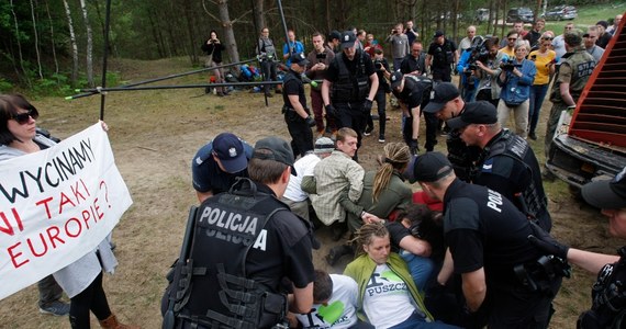 Aktywiści Greenpeace od rana we wtorek blokują ciężki sprzęt używany do wycinki drzew w Puszczy Białowieskiej. Dołączyli do nich też miłośnicy przyrody z Czech i Rumunii. Na miejscu jest również policja.
