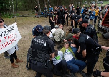 Aktywiści Greenpeace blokują wycinkę w Puszczy Białowieskiej