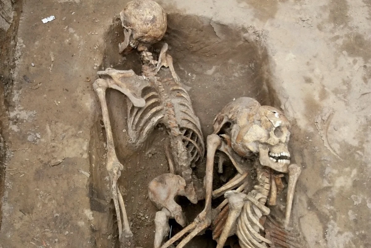 ​Najprawdopodobniej w środę archeolodzy Instytutu Pamięci Narodowej wydobędą z ziemi szczątki trzech osób, które odnaleziono w jamie grobowej na Łączce. Zdaniem historyków prowadzących poszukiwania na warszawskich Powązkach to 3 szkielety osób zamordowanych na początku lat 50. w więzieniu UB na Rakowieckiej. Badacze mówią o wyjątkowym znalezisku.