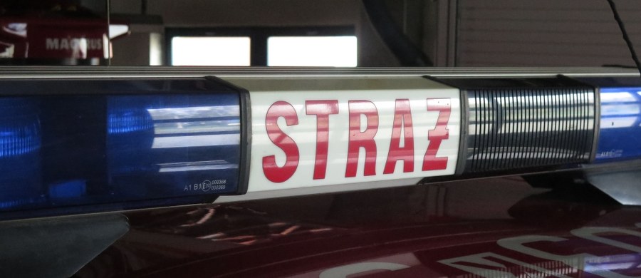 Śmiertelny wypadek w miejscowości Borowa na Dolnym Śląsku. Z wysokości około 30 metrów spadł paralotniarz.