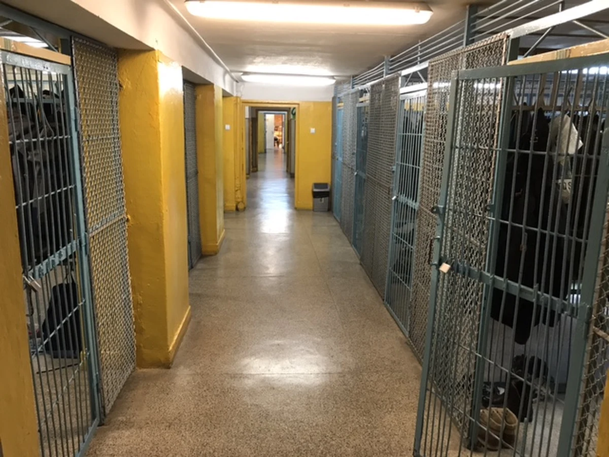 Prokuratura wszczęła śledztwo w sprawie molestowania trzech uczennic w specjalnym ośrodku szkolno-wychowawczym w Żywcu. Podejrzewany nauczyciel już nie pracuje.