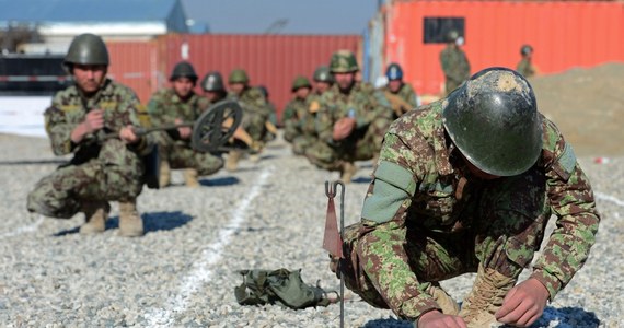 Co najmniej czterech amerykańskich żołnierzy zostało zastrzelonych przez żołnierza afgańskiego w bazie wojskowej Camp Shaheen w północnym Afganistanie. Poinformowały o tym afgańskie władze wojskowe.