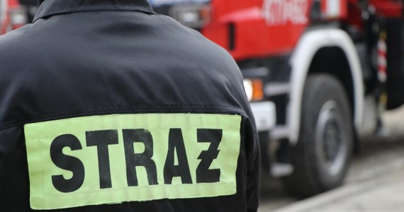 Prokurator i policja wyjaśniają przyczyny śmierci osoby, której ciało po południu znaleziono w Wiśle w Łomiankach koło Warszawy. Jak ustalił reporter RMF FM, to ciało mężczyzny. Zwłoki zauważył mieszkaniec Łomianek podczas spaceru nad rzeką. 