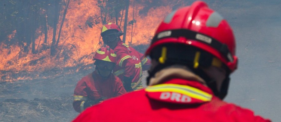 Gigantyczne pożary lasów w środkowej Portugalii pochłonęły już 62 ofiary śmiertelne, ale służby obawiają się, że ten tragiczny bilans jeszcze wrośnie. Rząd w Lizbonie ogłosił trzydniową żałobę narodową. 