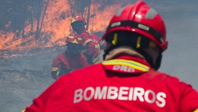 Trzydniowa żałoba w Portugalii. Świadkowie mówią o "tornado płomieni"