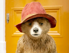 Zobacz trailer: Paddington 2