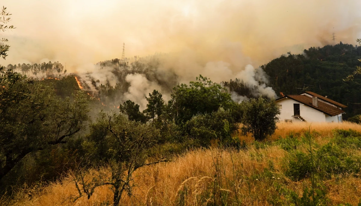 ​Rośnie liczba ofiar pożaru, który od sobotniego popołudnia trawi środkową Portugalię. Służby obrony cywilnej podały, że do wtorku żywioł zabił 64 osoby i ranił 157. Spustoszył także około 30 tys. hektarów lasów i gruntów rolnych.