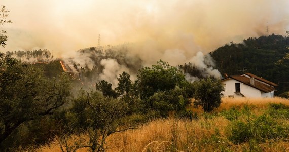 ​Rośnie liczba ofiar pożaru, który od sobotniego popołudnia trawi środkową Portugalię. Służby obrony cywilnej podały, że do wtorku żywioł zabił 64 osoby i ranił 157. Spustoszył także około 30 tys. hektarów lasów i gruntów rolnych.
