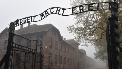 Ponad połowa niemieckich nastolatków nic nie wie o Auschwitz