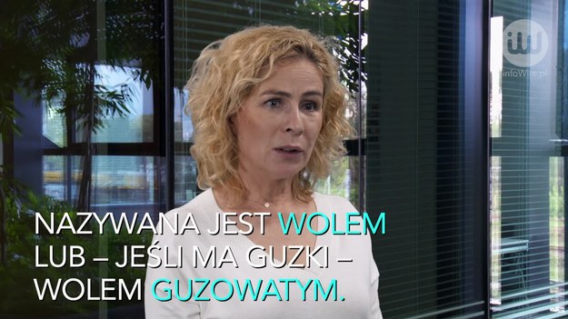 Według danych Głównego Urzędu Statystycznego przeszło 1 mln osób w Polsce ma chorą tarczycę. Choroby tego gruczołu są różne: niedoczynność, nadczynność, wole, wole guzowate, nowotwór, choroba Hashimoto czy choroba Gravesa-Basedowa. Jak się leczyć?


W przypadku niedoczynności i nadczynności tarczycy, również wtedy gdy są one wywołane chorobami zapalnymi, stosuje się leczenie farmakologiczne – odpowiednimi lekami. Przy nadczynności w grę może wchodzić także leczenie jodem radioaktywnym. Co do guzków, należy się upewnić, że nie są one zmianą nowotworową. Jeśli nie są, a wole guzowate nie powoduje dużego powiększenia tarczycy, wystarczy je obserwować.


Niekiedy zastosowane leczenie nie przynosi jednak efektów i niezbędna jest operacja, po której zostaje szpecąca blizna. Na szczęście jej wygląd można poprawić, a widoczność – zmniejszyć.