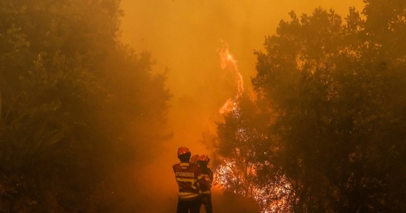 Prawdopodobną przyczyną pożaru w środkowej Portugalii, w którym zginęły 64 osoby, było podpalenie lasu – poinformował przewodniczący Ligi Strażaków Jaime Marta Soares. Wcześniej policja podała, że kataklizm spowodowało uderzenie pioruna w drzewo.
