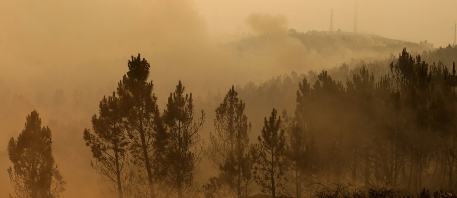 ​Portugalskim strażakom udało się opanować duże ognisko pożaru lasów w okolicach miasta Gois w dystrykcie Coimbra, w środkowej części kraju. W środę zapanowano nad drugim głównym ogniskiem żywiołu - koło Pedrogao Grande w sąsiednim dystrykcie Leiria.