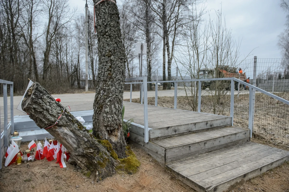 "W najbliższych dniach do laboratorium w Rzymie zostaną wysłane próbki pobrane z ciał ofiar katastrofy smoleńskiej do badań na obecność pozostałości materiałów wybuchowych" - powiedział zastępca prokuratora generalnego Marek Pasionek w internetowej telewizji wPolsce.pl. Jak ujawnił, w zeszłym tygodniu w Polsce przebywał ekspert tego laboratorium. "Wraz z prokuratorami wytypowali te próbki, które będą poddawane ekspertyzie" - dodał. 