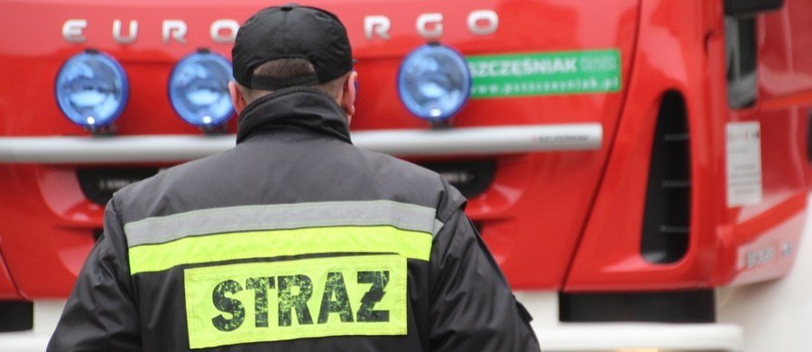 ​Sześcioro dzieci zostało lekko rannych w wypadku autobusu rejsowego w Kacicach na Mazowszu. 