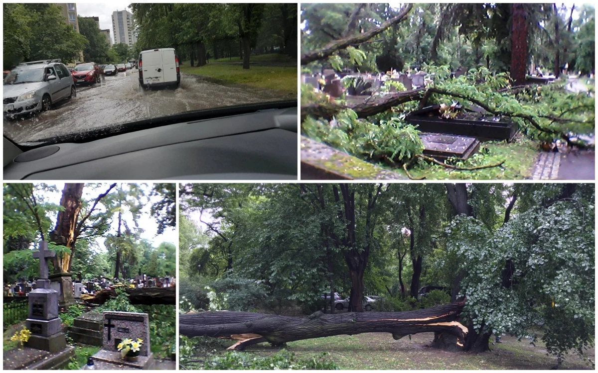 Połamane drzewa, podtopione ulice. Tak wygląda Kraków po przejściu nawałnicy. Strażacy w ciągu jednej tylko godziny odebrali około stu zgłoszeń. 