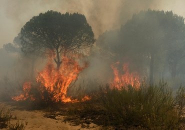 Hiszpania: Trwa walka z pożarem. Ewakuowano ok. 2 tysięcy osób