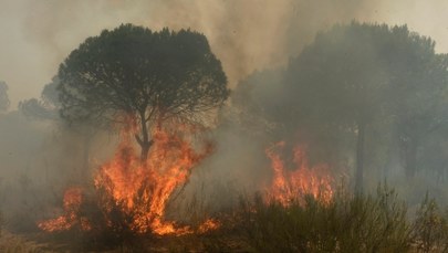 Hiszpania: Trwa walka z pożarem. Ewakuowano ok. 2 tysięcy osób