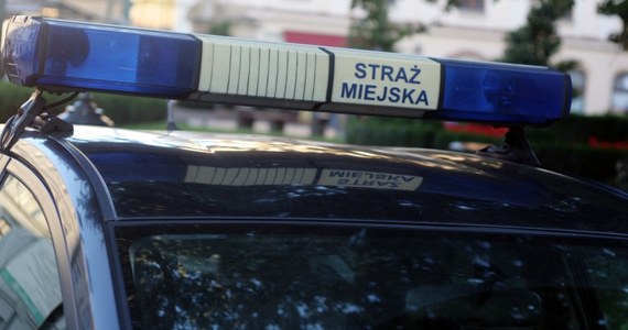 Komendant Straży Miejskiej w Radomiu wyciągnął konsekwencje wobec strażników, którzy nie podjęli interwencji podczas zajść na manifestacji KOD w sobotę w Radomiu. Jeden z nich stracił pracę, drugi dostał naganę.
