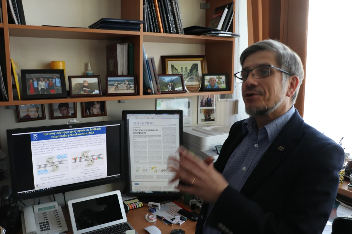 Co to znaczy, że głośna, przełomowa metoda edycji genów CRISPR-Cas jest - jak często ją się określa - prosta? Jak musi być wyposażone laboratorium, w którym się ją wykorzystuje? Jak długo trwa praca nad edycją genów w konkretnych komórkach? To pytania, na które odpowiada RMF FM prof. Józef Dulak, szef Zakładu Biotechnologii Medycznej Uniwersytetu Jagiellońskiego, gdzie prowadzone są prace z wykorzystaniem tej techniki. W rozmowie z Grzegorzem Jasińskim mówi też o kontrowersjach związanych ze sporami patentowymi wokół tej metody i swoich obawach dotyczących możliwości wykonywania niektórych badań tego typu w Polsce. 