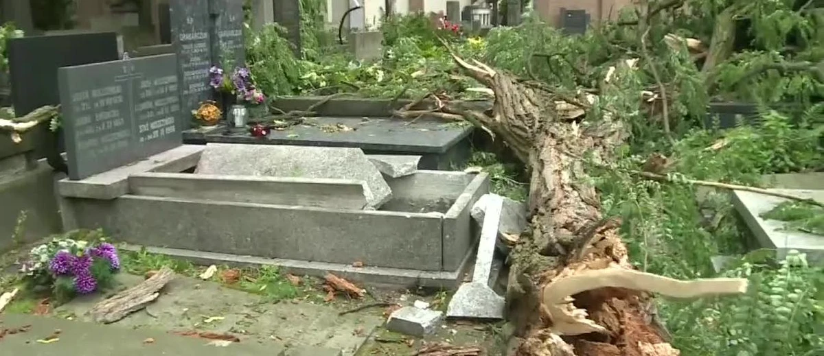 45 grobów i pomników nagrobnych, w tym zabytkowych, zostało uszkodzonych - powiedział rzecznik Archidiecezji Warszawskiej o zniszczeniach na stołecznym Cmentarzu Powązkowskim, jakie spowodowały przechodzące nad Polską burze. "Na cmentarzu jest wiele powalonych drzew, wyrwanych z korzeniami. Jest także wiele konarów, wiszących na koronach drzew i stwarzających zagrożenie dla odwiedzających cmentarz" - dodał ks. Przemysław Śliwiński.