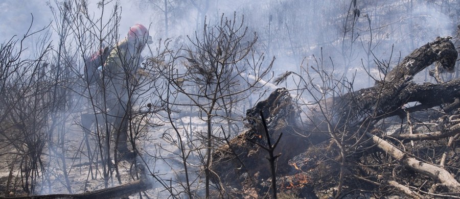 ​Pożar, który 17 czerwca wybuchł w Pedrogao Grande w środkowej Portugalii, doprowadził do strat materialnych przekraczających 20 mln euro - poinformował rząd w Lizbonie. W rezultacie pożaru zginęły 64 osoby.