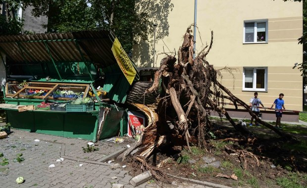 Strażacy usuwają skutki gwałtownych burz. Ponad 90 tysięcy osób bez prądu - Polska Strażacy w całym kraju cały czas usuwają skutki burz i intensywnych opadów deszczu. Prąd nie dociera do ponad 93 tysięcy osób w całym kraju. Największe problemy pod tym względem są w województwie mazowieckim.
