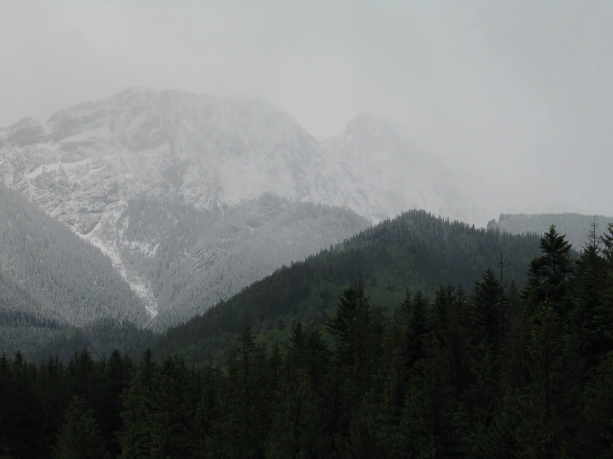 Niedobre wiadomości dla tych, którzy urlop spędzają w górach. Przyszło zapowiadane załamanie pogody. Aura w Tatrach fatalna - donosi reporter RMF FM Maciej Pałahicki.