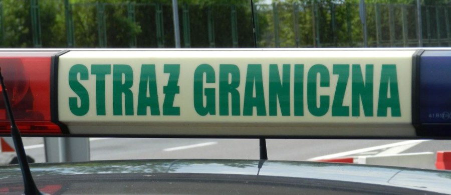 Funkcjonariusze Straży Granicznej uratowali w Bieszczadach rodzinę nielegalnych imigrantów z czwórką małych dzieci. Do Polski przybyli z Rosji. Dzieci miały gorączkę, wszyscy byli przemoczeni i głodni.