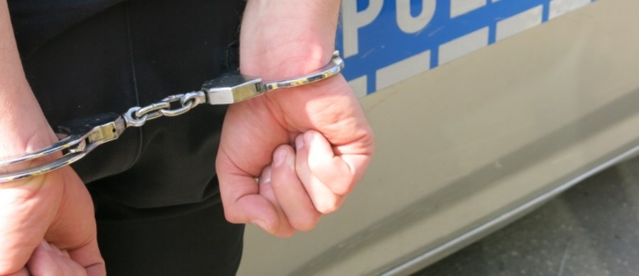 Zarzut niehumanitarnego zabicia swojego psa usłyszał 48-letni mieszkaniec Oświęcimia. Grozi mu za to do 3 lat więzienia. "Mężczyzna został oddany pod dozór policji" – poinformował rzecznik małopolskiej policji Sebastian Gleń.