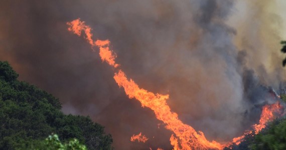 Z powodu pożarów, jakie trawią lasy w prowincji Kolumbia ewakuowano już 3 tys. rodzin. W walce z ogniem bierze udział 1600 ratowników z Kolumbii wspomaganych przez 260 strażaków z innych części kraju. W prowincji od piątku obowiązuje stan wyjątkowy.