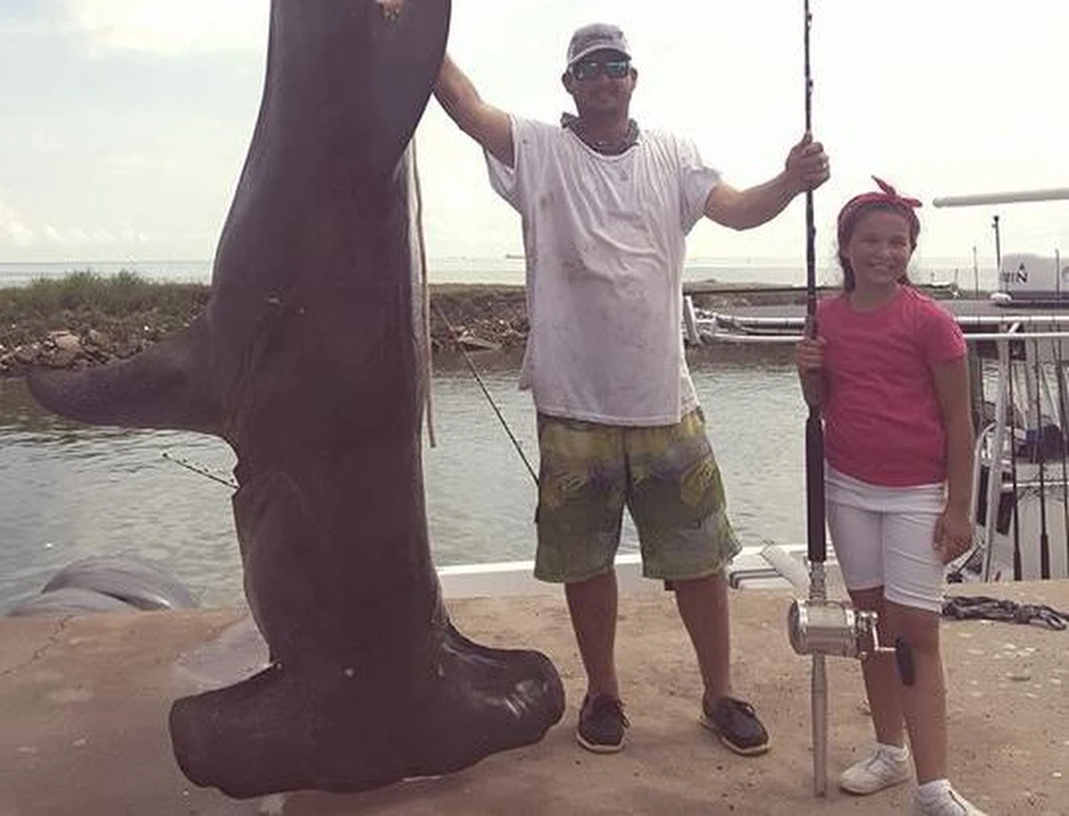 Takiego olbrzyma dawno nie widziano. Tim McClellen złowił rekordowo wielkiego rekina młota w Texas City nad Zatoką Meksykańską. Potwór ważył 468 kilogramów. Zdjęcie swojej zdobyczy umieścił na Facebooku. Widać na nim, że rekin jest dwa razy większy, niż on. 