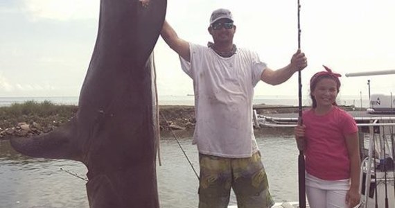 Takiego olbrzyma dawno nie widziano. Tim McClellen złowił rekordowo wielkiego rekina młota w Texas City nad Zatoką Meksykańską. Potwór ważył 468 kilogramów. Zdjęcie swojej zdobyczy umieścił na Facebooku. Widać na nim, że rekin jest dwa razy większy, niż on. 
