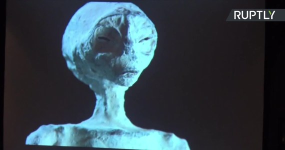 Grupa entuzjastów UFO zaprezentowała w Limie w Peru fotografie humanoidalnych mumii mających rzekomo pochodzić sprzed ok. 1700 lat. Istoty - jeśli istniały naprawdę - sylwetką i rysami twarzy przypominają popkulturowe wizerunki "obcych". Uwagę zwracają długie czaszki o płaskich twarzach i wielkich oczodołach oraz długie ręce o wyjątkowo długich palcach. Niektóre spośród zaprezentowanych mumii przypominają ludzi w stopniu większym niż inne. Być może to "owoce" związków kosmitów z Ziemianami? 